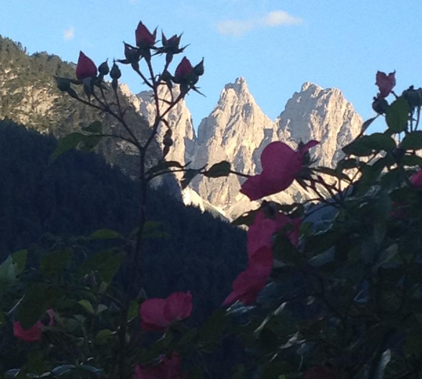 Fra Rose E Mughi Bed & Breakfast Domegge di Cadore Exterior photo